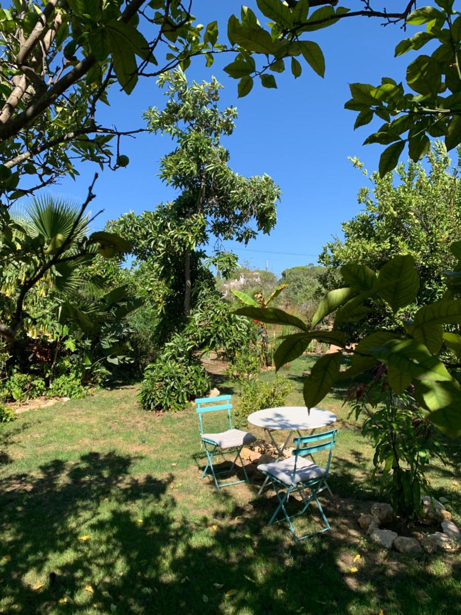 A Tranquil Garden Apartment, Carvoeiro - Benagil 외부 사진