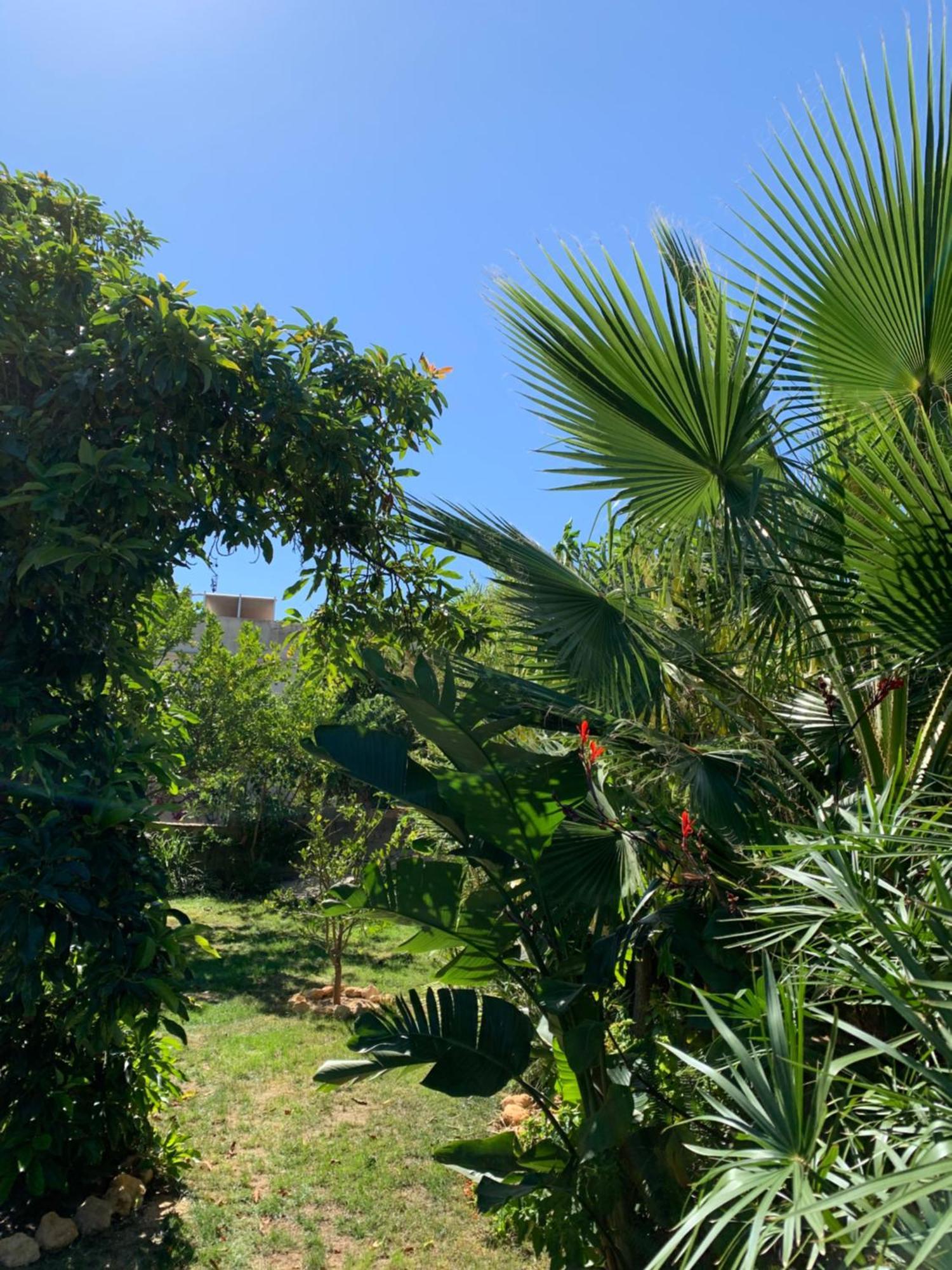 A Tranquil Garden Apartment, Carvoeiro - Benagil 외부 사진